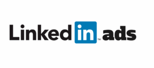 LinkedIn Ads advertising consultant analyzing campaign performance for B2B leads.