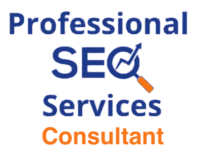 Professional SEO services consultant TimeZ Marketing helping businesses improve rankings and organic growth